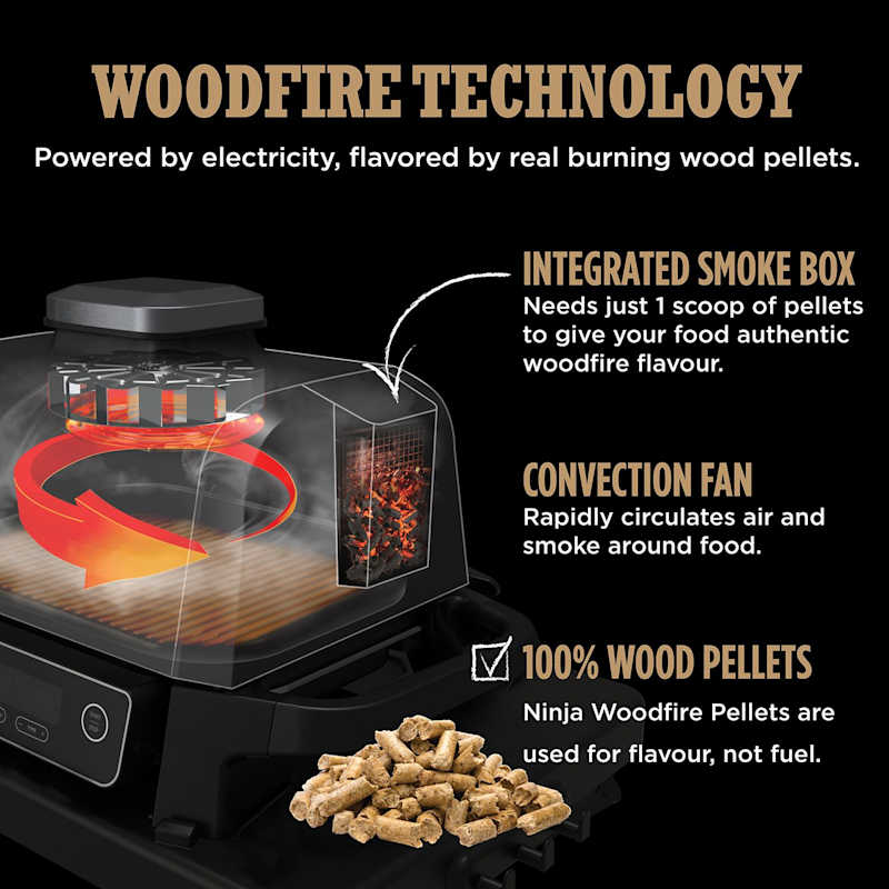 Woodfire Electric BBQ Grill & Smoker with Stand & Cover