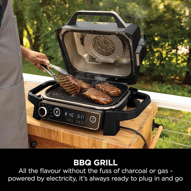 Woodfire Electric BBQ Grill & Smoker with Stand & Cover